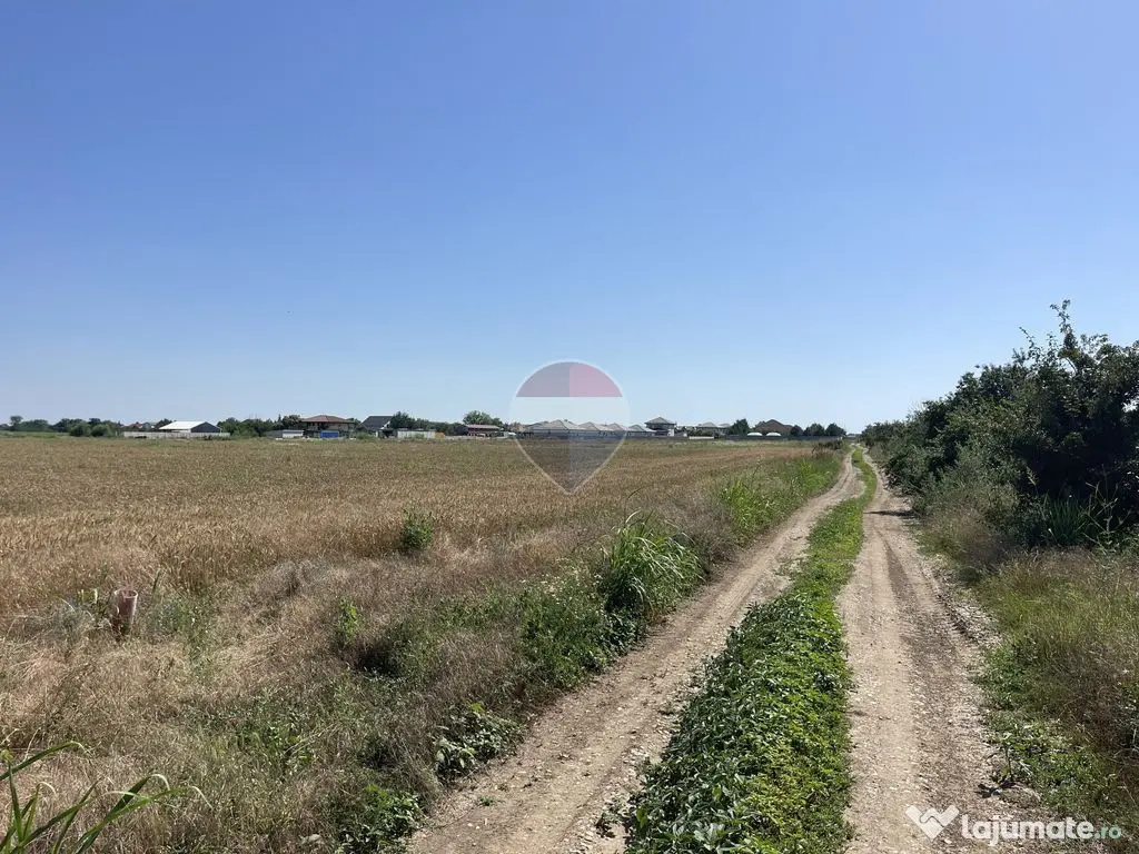 Teren Sabareni, Giurgiu, strada Stejarului, aproape de padure - Sabareni (Giurgiu)