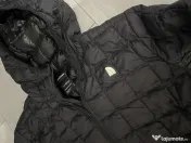 Geaca the north face femei