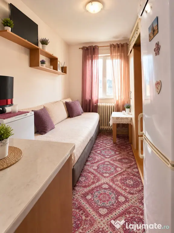 Garsoniera 12 mp, parter, ideala pentru investitie - Calea S - Timisoara (Timis)