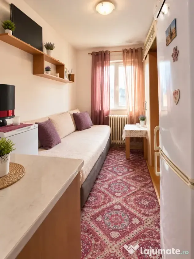 Garsoniera 12 mp, parter, ideala pentru investitie - Calea S - Timisoara (Timis)