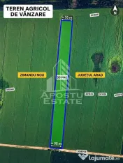 Teren agricol de vanzare -Zimandu Nou 