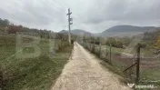 Teren intravilan de 4.931 mp în Toplița Muresului la doar