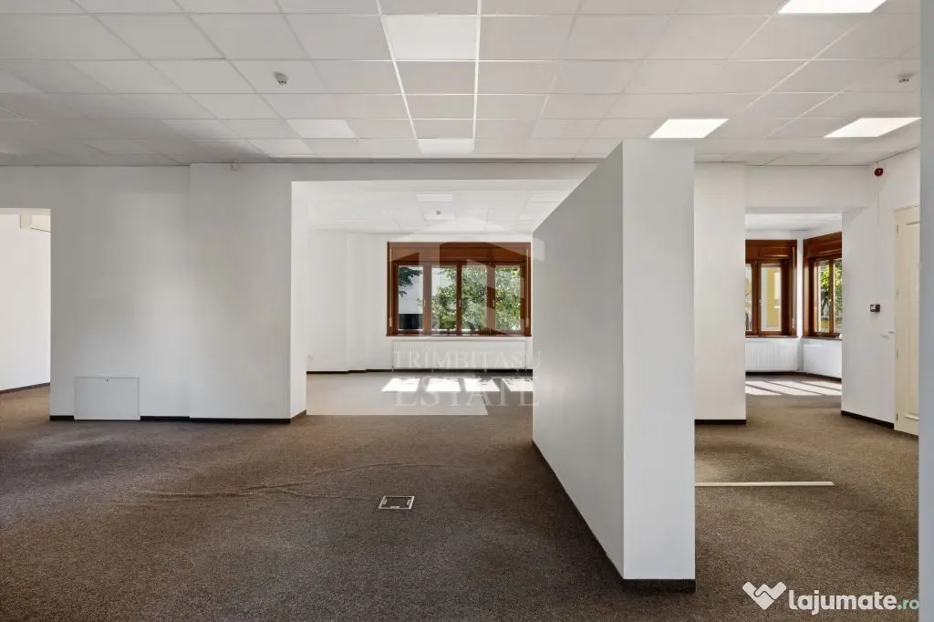 ULTRACENTRAL | Spatiu Comercial | Demisol + Parter 450mp | Impecabil - Timisoara (Timis)