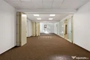 ULTRACENTRAL | Spatiu Comercial | Demisol + Parter 450mp | Impecabil