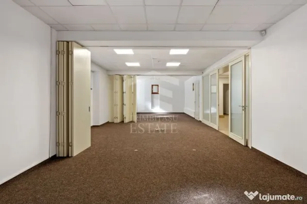 ULTRACENTRAL | Spatiu Comercial | Demisol + Parter 450mp | Impecabil - Timisoara (Timis)