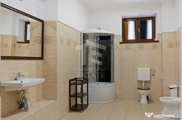 ULTRACENTRAL | Spatiu Comercial | Demisol + Parter 450mp | Impecabil - Timisoara (Timis)