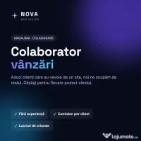 Consultant clienți pentru agenție de web design,program flexibil,fara experienta 