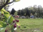 Intravilan 1144 mp , loc de casa , zona padure Baicoi Prahov