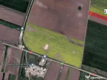 Teren 2 ha. Vladimirescu - ID : RH-21991-property