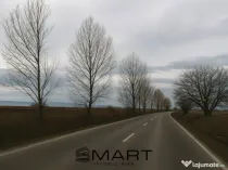 Teren intravilan 10.000mp la drum Calea Surii Mici