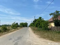 Mediesu Aurit, 1,5ha teren