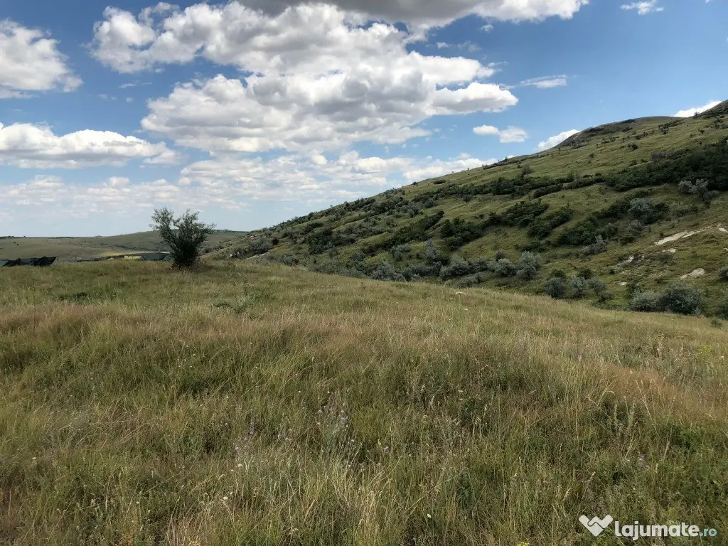 50 Ha pasune, judetul Prahova