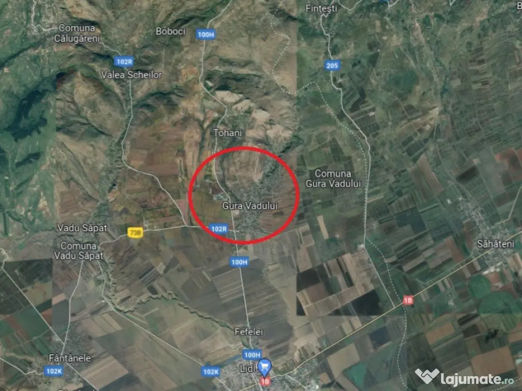 50 Ha pasune, judetul Prahova