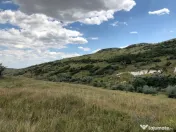 50 Ha pasune, judetul Prahova 