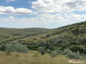 50 Ha pasune, judetul Prahova 