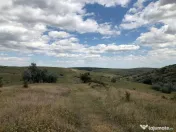 50 Ha pasune, judetul Prahova 