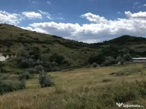 50 Ha pasune, judetul Prahova