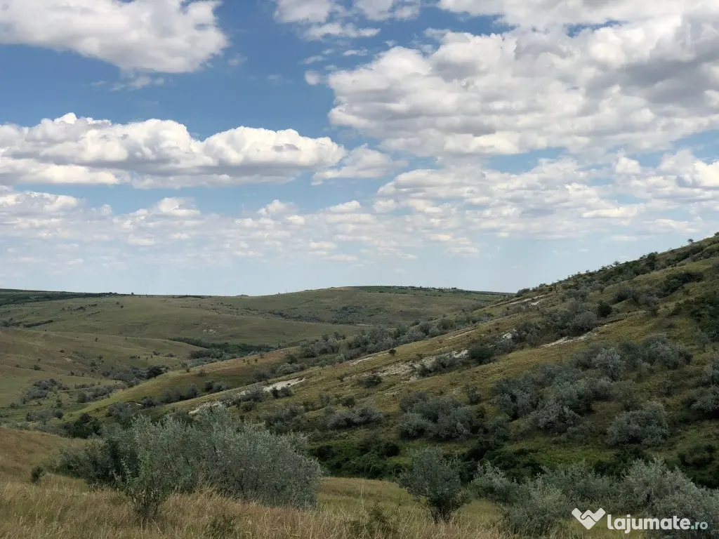 50 Ha pasune, judetul Prahova