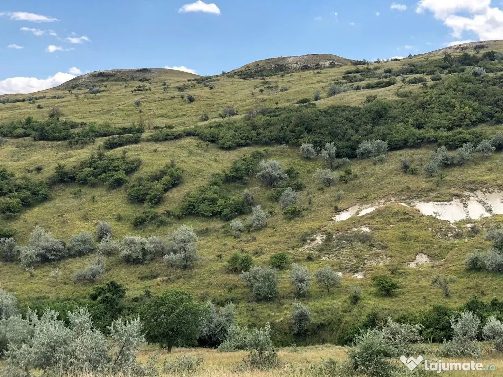 50 Ha pasune, judetul Prahova