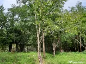 Conac situat in Breaza cu 2340 mp teren 