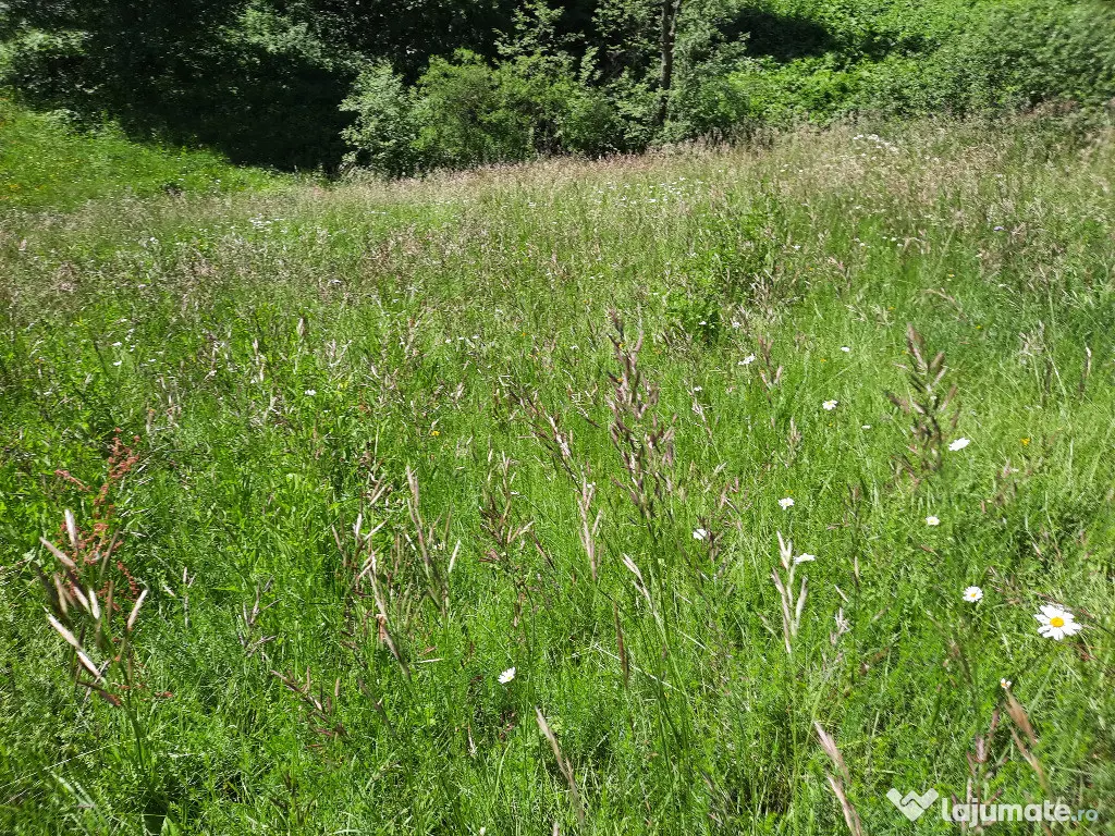 Teren intravilan situat in Predeal