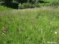 Teren intravilan situat in Predeal