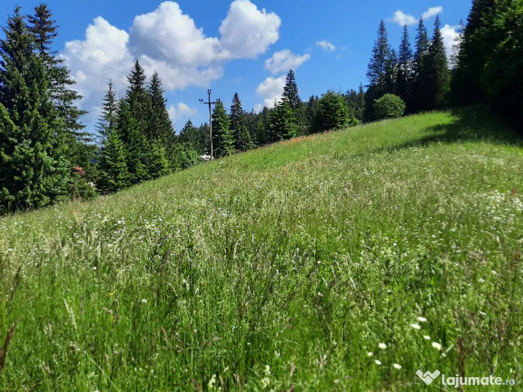 Teren intravilan situat in Predeal