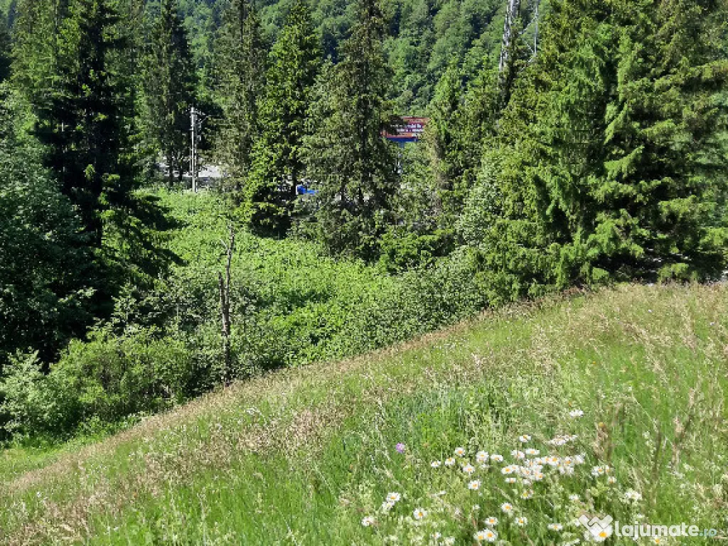 Teren intravilan situat in Predeal