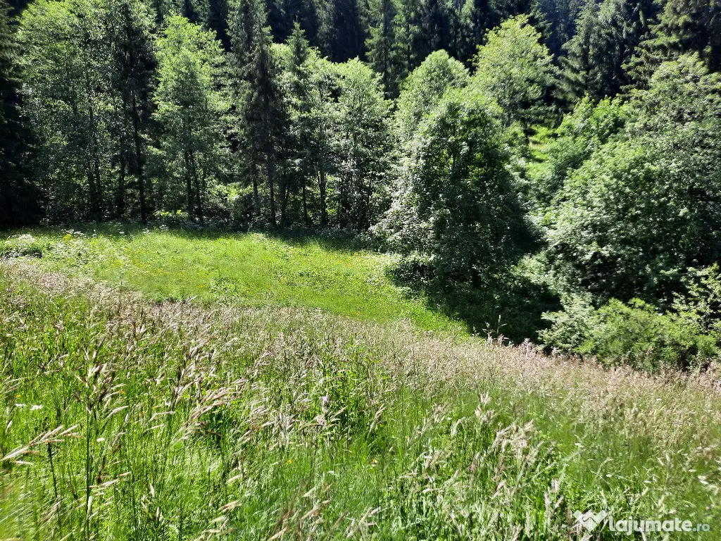 Teren intravilan situat in Predeal