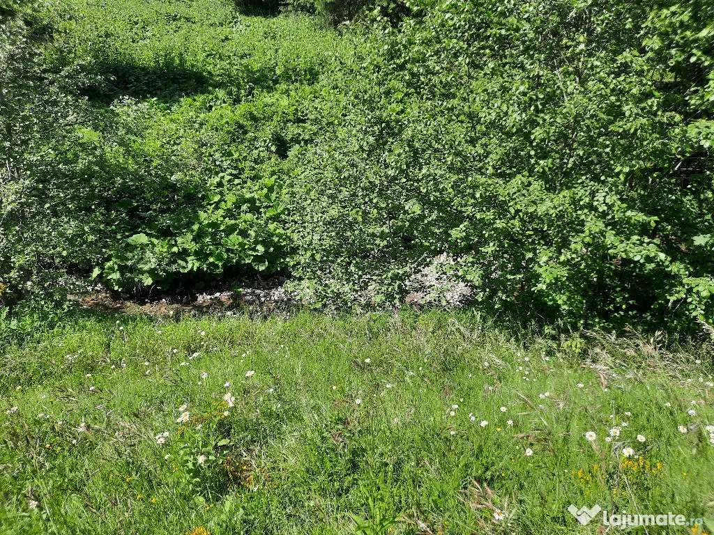 Teren intravilan situat in Predeal