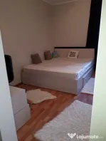Apartament 1 camera zona Aradului .