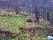 Sabisa, casa caramida 