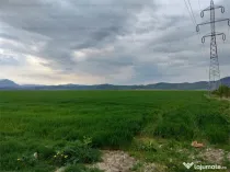 Teren pentru hale industriale - zona Cristian