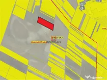 Teren Chitila - Dragomiresti Vale - Padurii, Ilfov