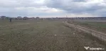 Teren intravilan Lazu