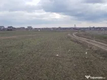 Teren intravilan Lazu