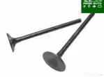 Supapa Admisie / Evacuare Peugeot 206 2005
