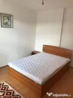 Apartament o camera Bogdanestilor