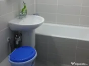 Apartament o camera zona Buziasului 