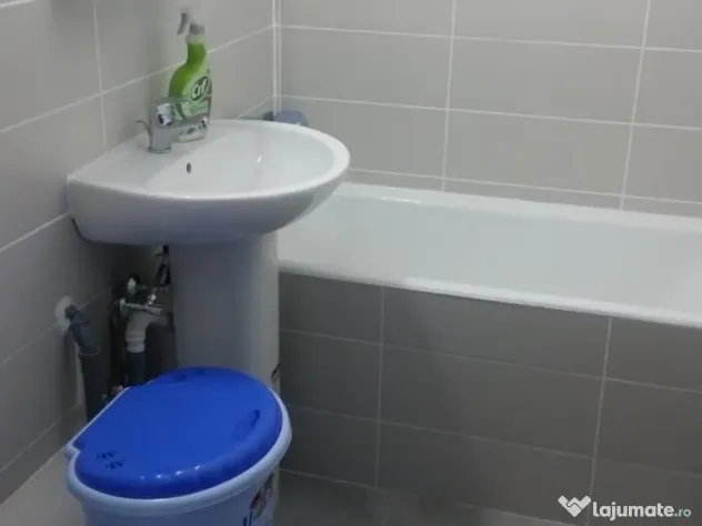 Apartament o camera zona Buziasului