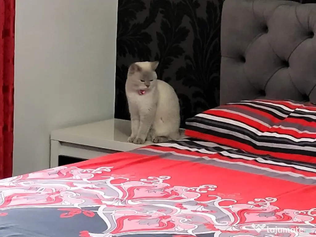 Casa Sacerdateanu superba construcție noua