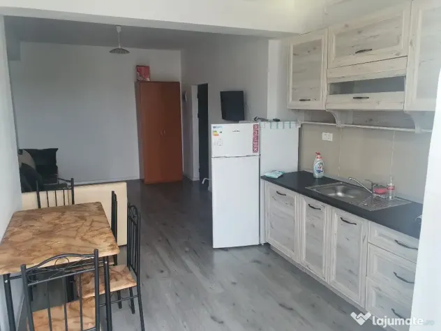 Apartament 1 camera