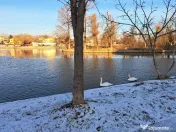 Teren intravilan 340 mp - Parcul Plumbuita 