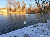 Teren intravilan 340 mp - Parcul Plumbuita 