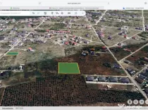 Teren 3600mp Mogosoaia - Oportunitate de investitie!