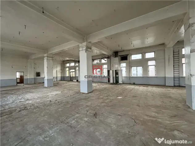 Spatiu industrial/cladire birouri Rahova - Margeanului, Buc