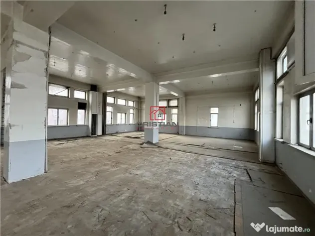 Spatiu industrial/cladire birouri Rahova - Margeanului, Buc