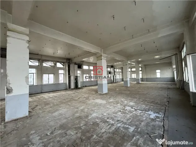 Spatiu industrial/cladire birouri Rahova - Margeanului, Buc