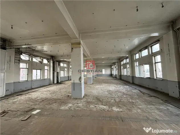 Spatiu industrial/cladire birouri Rahova - Margeanului, Buc