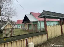 Casa si hala de vanzare, in Horodnic de Sus
